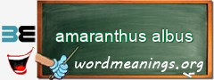 WordMeaning blackboard for amaranthus albus